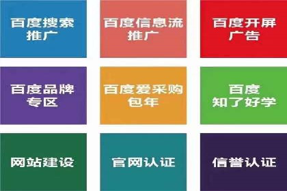 百度品牌专区推广的成效与案例